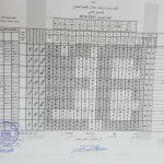 32595183_444851982619611_8627071327372574720_n